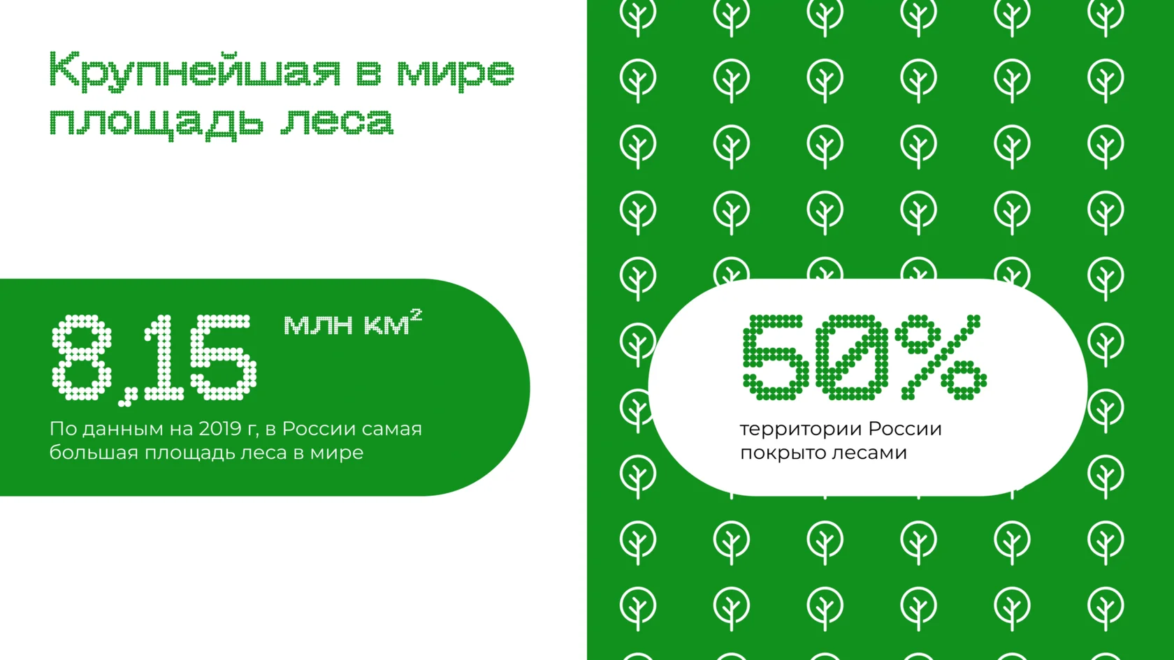 Слайд с инфографикой про лес — две колонки с большими цифрами и графический паттерн