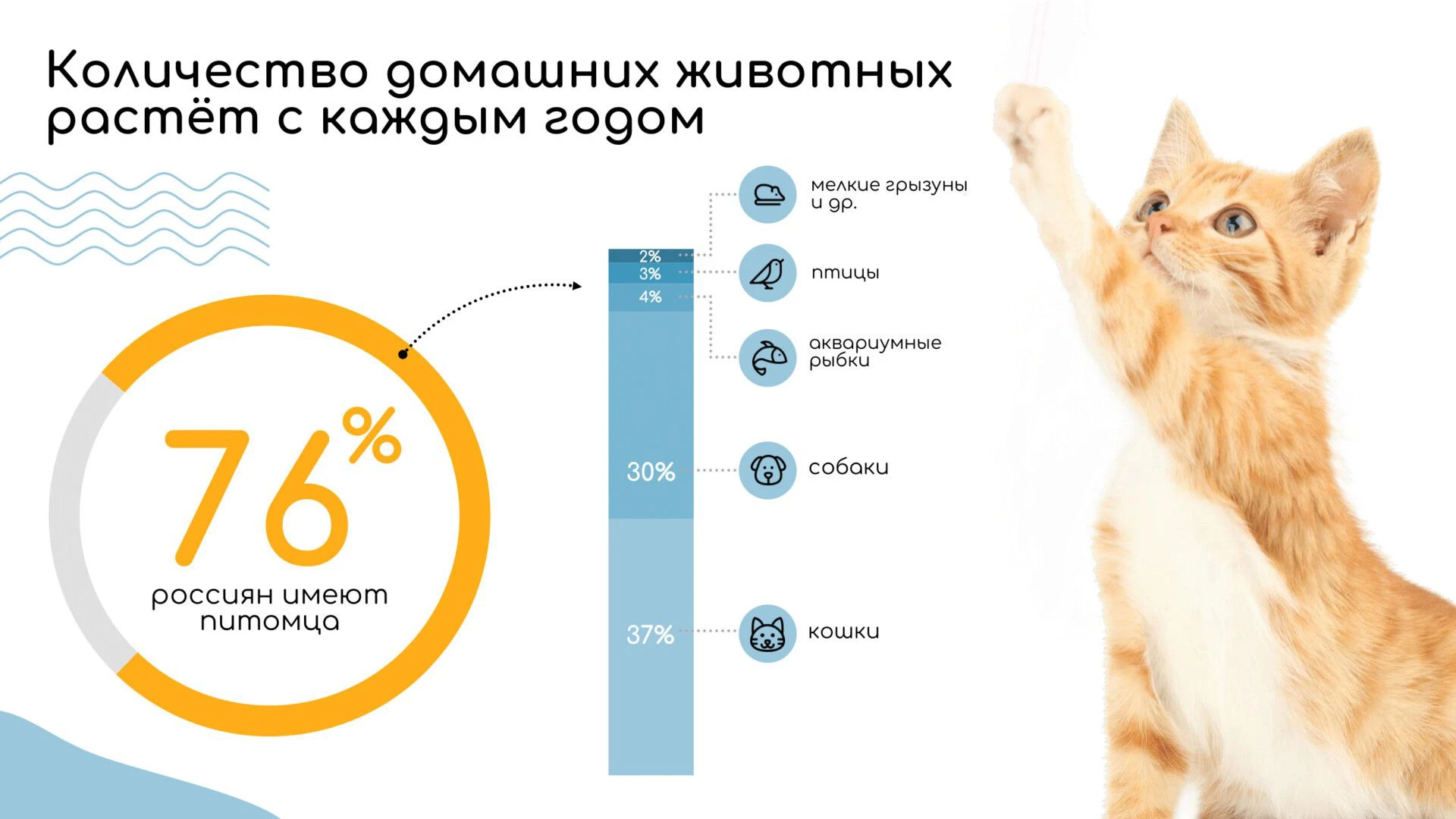 Инфографика с круговой диаграммой