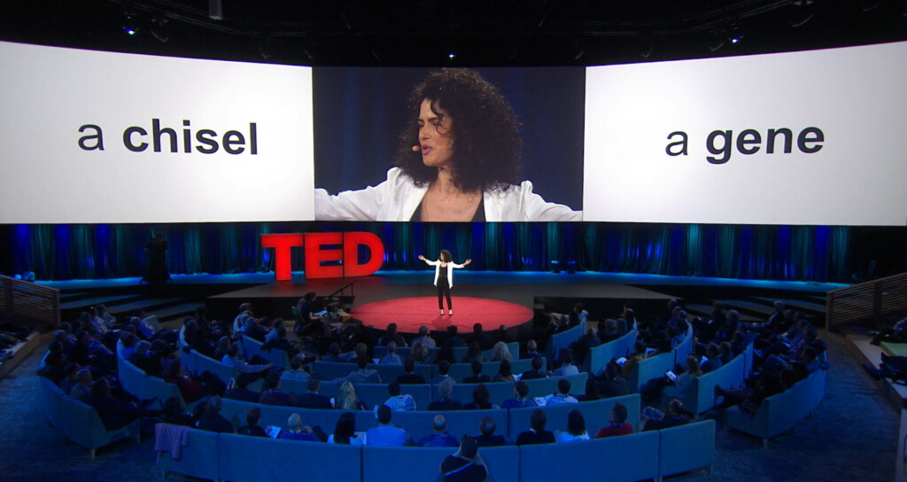 Презентация TED