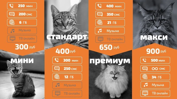 Тарифы на слайде