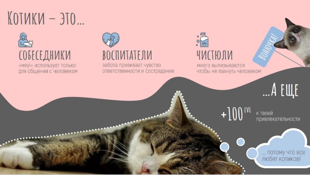 Дружелюбный слайд