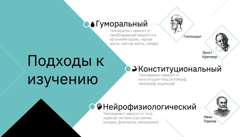 Инфографика на слайде