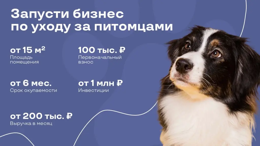 Фото собаки на слайде